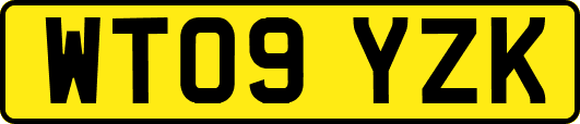 WT09YZK