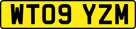 WT09YZM