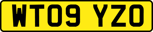 WT09YZO