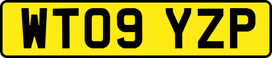 WT09YZP