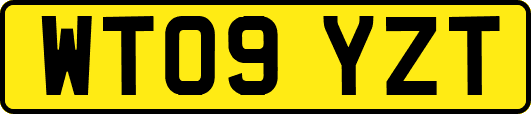 WT09YZT
