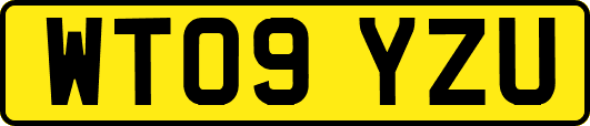 WT09YZU