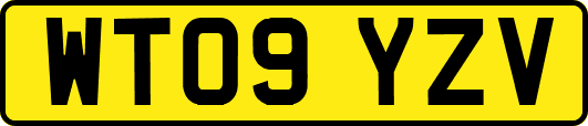 WT09YZV