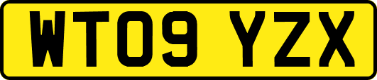 WT09YZX