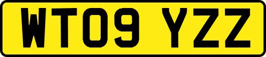 WT09YZZ