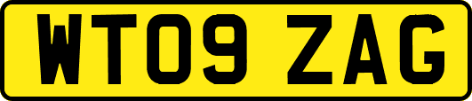 WT09ZAG