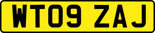 WT09ZAJ