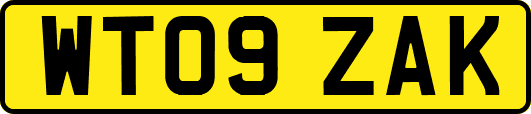 WT09ZAK