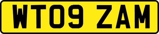 WT09ZAM