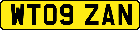 WT09ZAN