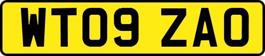 WT09ZAO