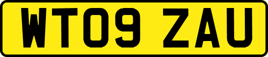 WT09ZAU