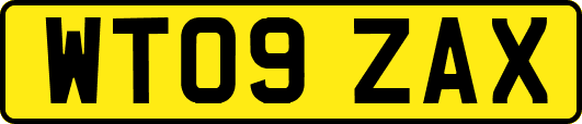 WT09ZAX