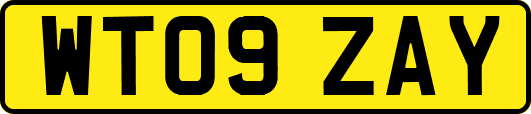 WT09ZAY