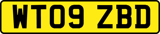 WT09ZBD