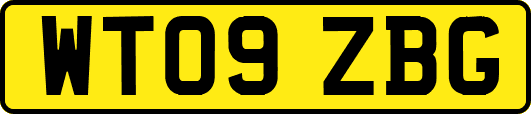 WT09ZBG