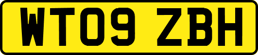 WT09ZBH