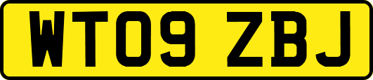 WT09ZBJ