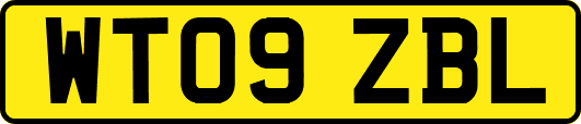 WT09ZBL