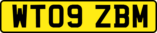 WT09ZBM