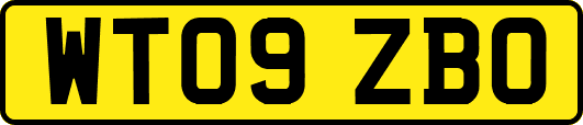 WT09ZBO