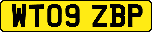 WT09ZBP