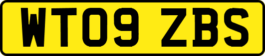WT09ZBS