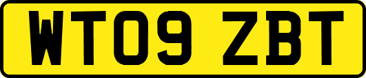 WT09ZBT
