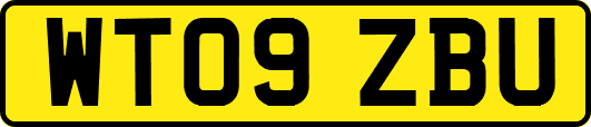 WT09ZBU