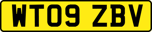 WT09ZBV