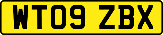 WT09ZBX