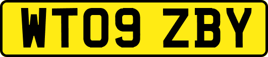 WT09ZBY
