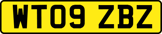 WT09ZBZ
