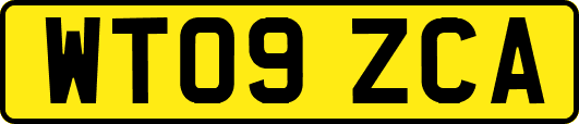 WT09ZCA