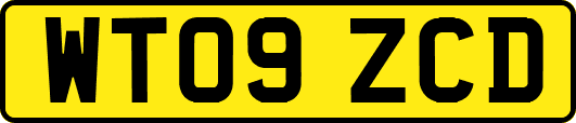 WT09ZCD