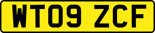 WT09ZCF
