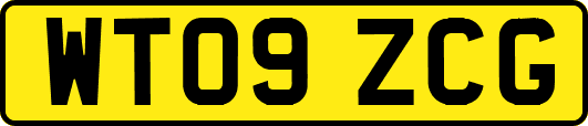 WT09ZCG