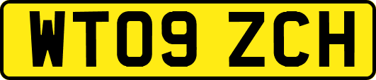 WT09ZCH
