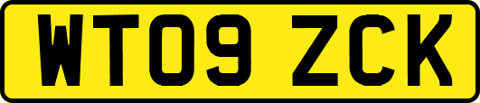 WT09ZCK