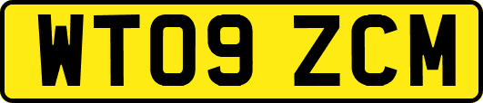 WT09ZCM