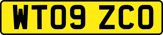 WT09ZCO