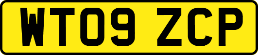 WT09ZCP