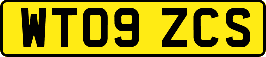 WT09ZCS