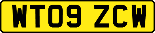 WT09ZCW
