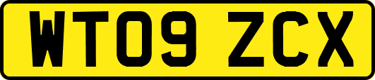 WT09ZCX