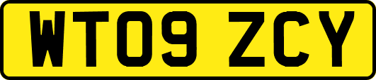 WT09ZCY