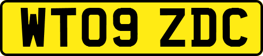 WT09ZDC