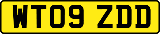WT09ZDD