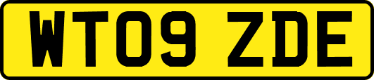 WT09ZDE