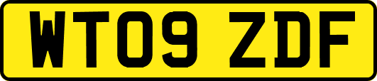 WT09ZDF